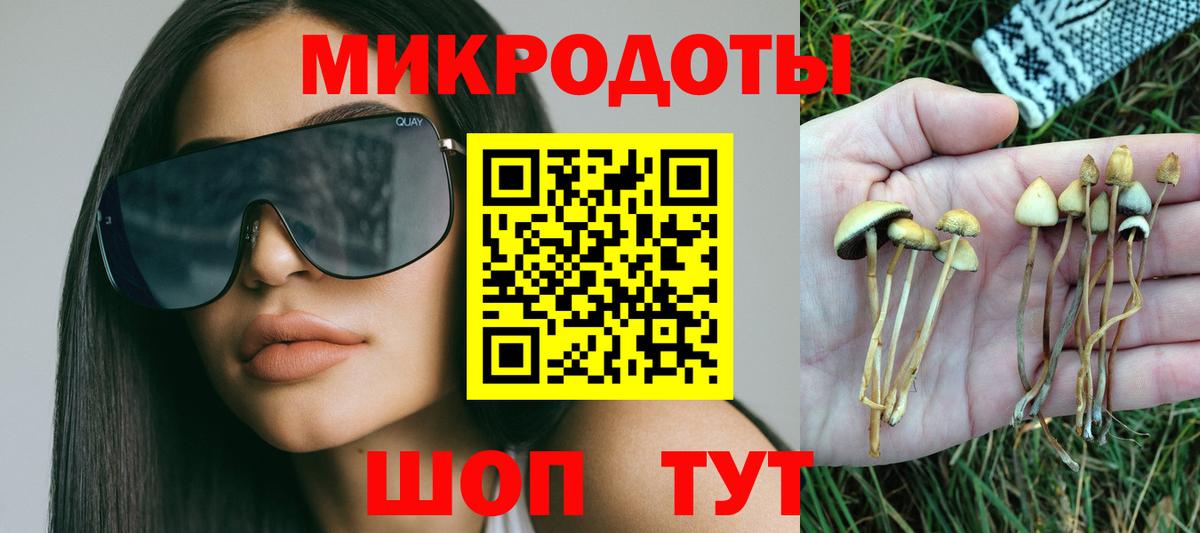 Псилоцибиновые грибы MAGIC MUSHROOMS  Вход с VPN  Среднеуральск  Псилоцибиновые грибы MAGIC MUSHROOMS 